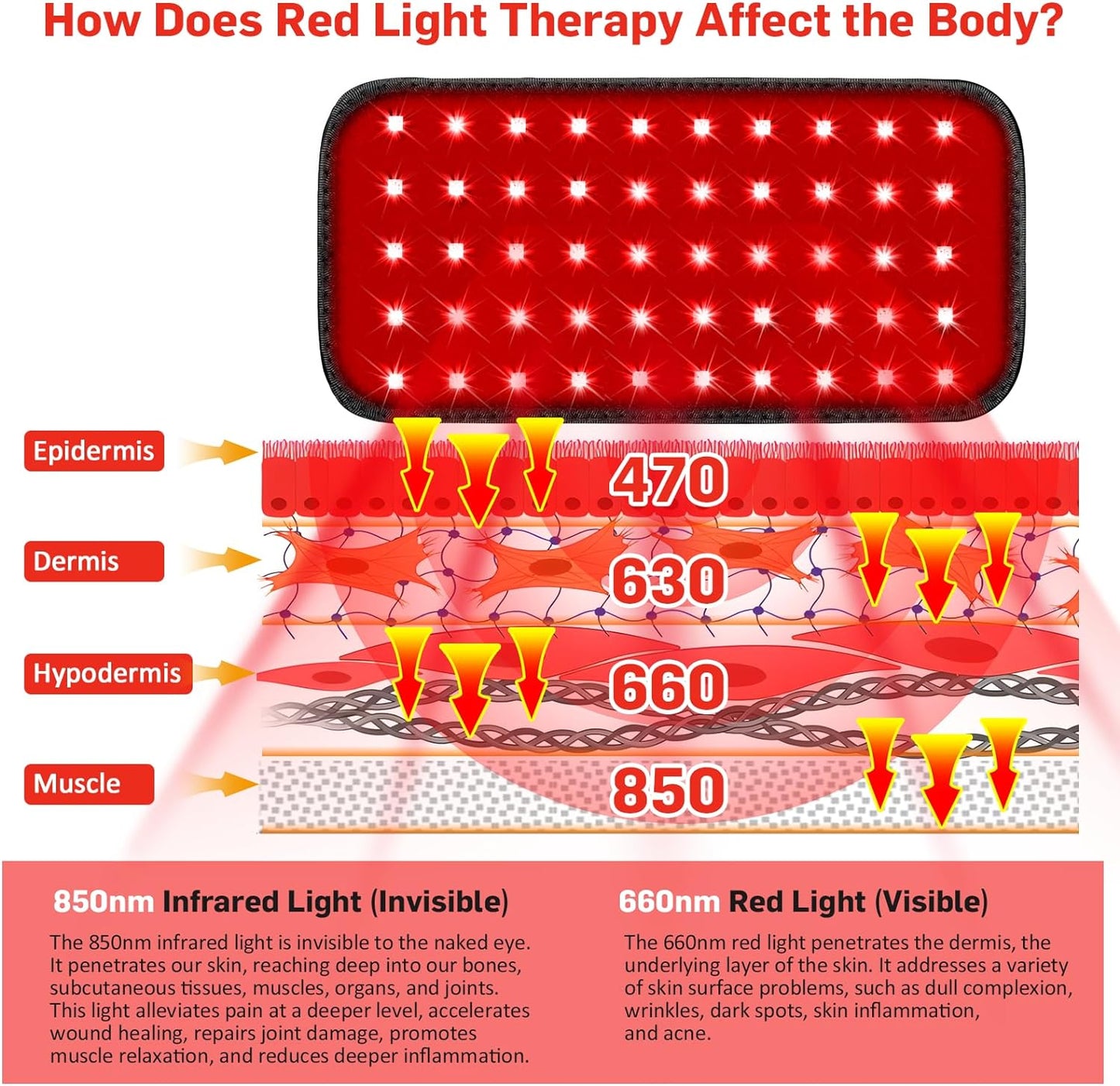 Red Light Therapy Belt