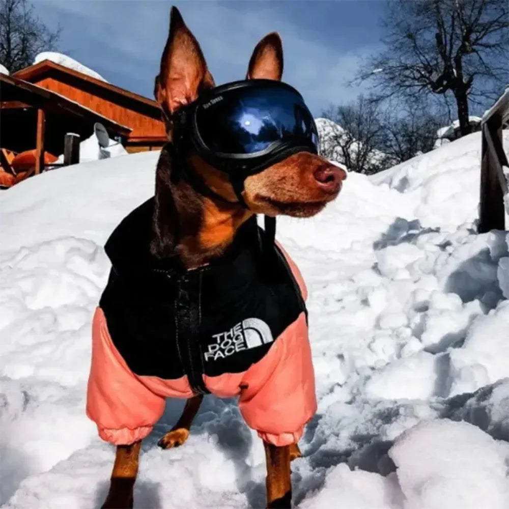 Dual Color Pup Parka