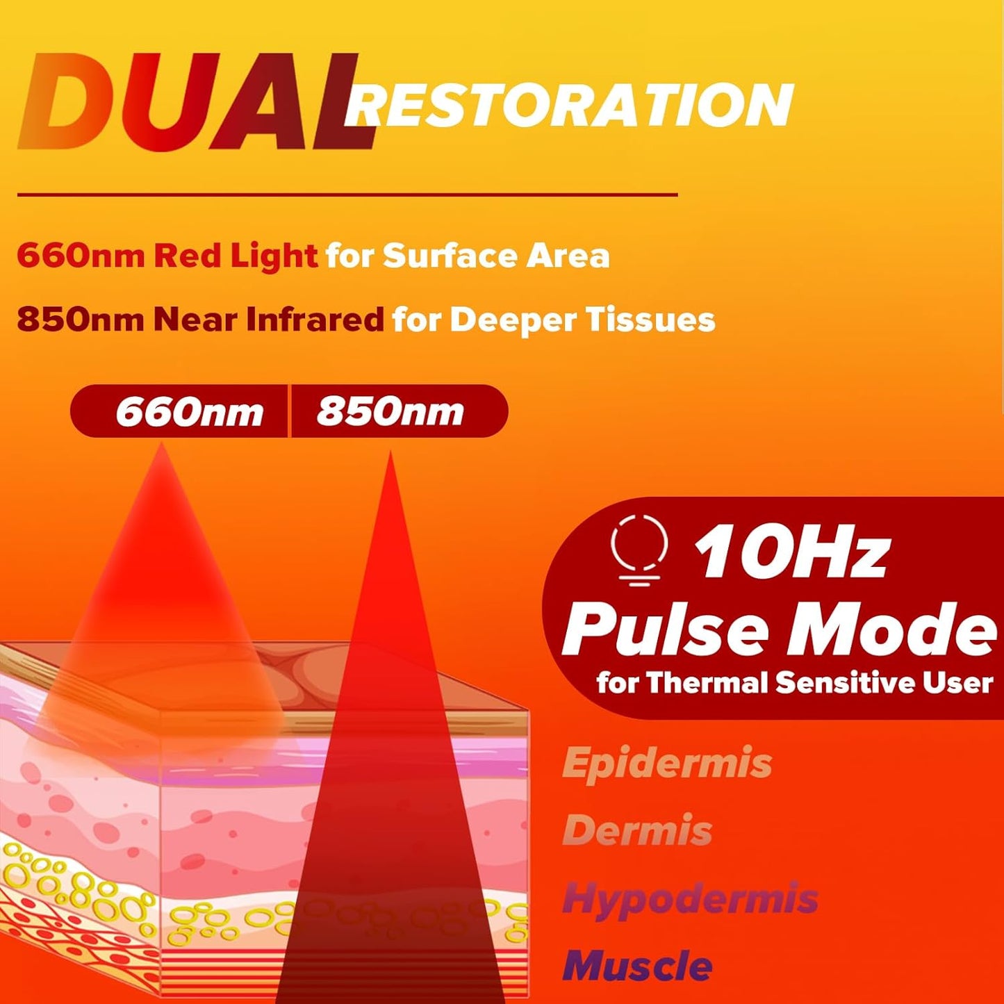 Red Light Therapy Belt